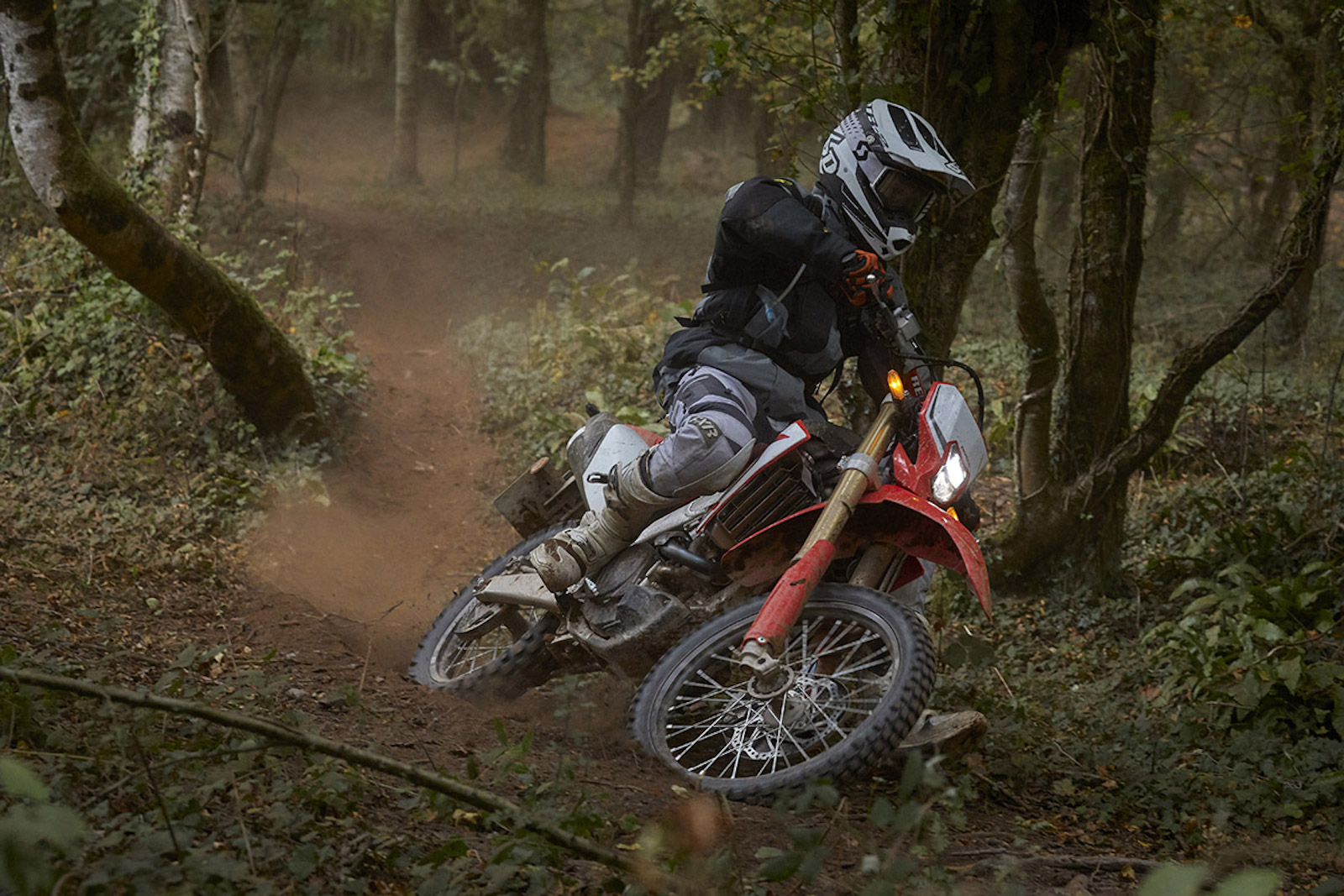 honda_crf450l_2019_rhs_enduro21_560