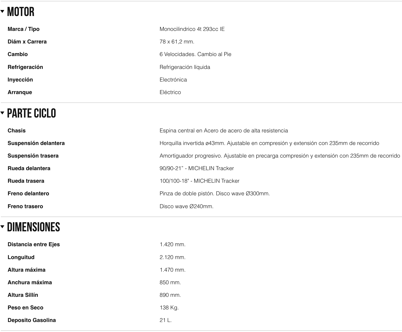 rieju_aventure_rally_307_especificaciones